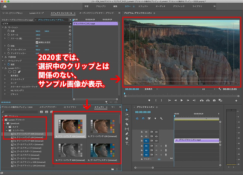 Premiere Pro 2020までのプリセットサムネイル