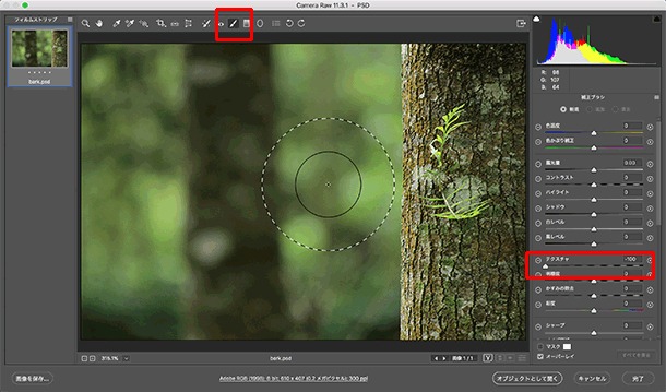 イトウ先生のTips note 【Photoshop CC 2019・Camera Raw 11.3】テクスチャスライダー